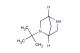 2-(tert-butyl)-2,5-diazabicyclo[2.2.1]heptane