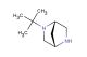 (1S,4S)-2-(tert-butyl)-2,5-diazabicyclo[2.2.1]heptane