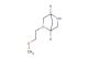 2-(2-methoxyethyl)-2,5-diazabicyclo[2.2.1]heptane