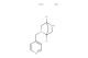 2-(pyridin-4-ylmethyl)-2,5-diazabicyclo[2.2.1]heptane dihydrochloride