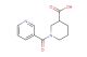 1-nicotinoylpiperidine-3-carboxylic acid