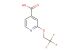 2-(2,2,2-trifluoroethoxy)isonicotinic acid