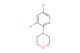 4-(3,5-dichloropyridin-2-yl)morpholine
