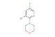 4-(3-bromo-5-chloropyridin-2-yl)morpholine
