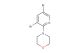 4-(3,5-dibromopyridin-2-yl)morpholine