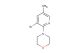 4-(3-bromo-5-methylpyridin-2-yl)morpholine