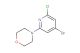 4-(4-bromo-6-chloropyridin-2-yl)morpholine