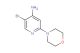 5-bromo-2-morpholinopyridin-4-amine