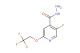 5-fluoro-2-(2,2,2-trifluoroethoxy)isonicotinohydrazide