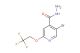 5-bromo-2-(2,2,2-trifluoroethoxy)isonicotinohydrazide