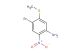 4-bromo-5-(methylthio)-2-nitroaniline