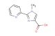 1-methyl-2-(pyridin-2-yl)-1H-imidazole-4-carboxylic acid