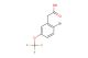 2-(2-bromo-5-(trifluoromethoxy)phenyl)acetic acid