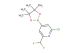 2-chloro-6-(difluoromethyl)-4-(4,4,5,5-tetramethyl-1,3,2-dioxaborolan-2-yl)pyridine