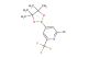 2-bromo-4-(4,4,5,5-tetramethyl-1,3,2-dioxaborolan-2-yl)-6-(trifluoromethyl)pyridine
