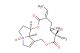 Seneciphylline N-Oxide