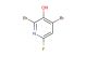 2,4-dibromo-6-fluoropyridin-3-ol