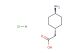 trans-4-aminocyclohexylacetic acid hydrochloride