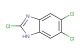 2,5,6-trichloro-1H-benzimidazole