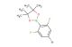2-(4-bromo-2,6-difluoro-phenyl)-4,4,5,5-tetramethyl-[1,3,2]dioxaborolane