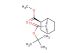 (1R,2R,4S)-7-tert-butyl 2-methyl 7-azabicyclo[2.2.1]heptane-2,7-dicarboxylate