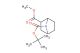 7-tert-butyl 2-methyl 7-azabicyclo[2.2.1]heptane-2,7-dicarboxylate