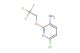 6-chloro-2-(2,2,2-trifluoroethoxy)pyridin-3-amine