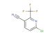 6-chloro-2-(trifluoromethyl)nicotinonitrile