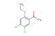 1-(4,5-dichloro-2-ethoxyphenyl)ethan-1-one
