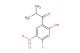 1-(4-fluoro-2-hydroxy-5-nitrophenyl)-2-methylpropan-1-one