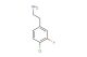2-(4-chloro-3-fluorophenyl)ethan-1-amine