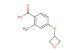 2-methyl-4-(oxetan-3-yloxy)benzoic acid