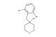 4-(2,6-dibromobenzyl)tetrahydro-2H-pyran-4-ol