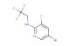 5-bromo-3-fluoro-N-(2,2,2-trifluoroethyl)pyridin-2-amine