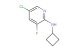 5-chloro-N-cyclobutyl-3-fluoropyridin-2-amine