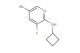 5-bromo-N-cyclobutyl-3-fluoropyridin-2-amine
