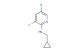 5-chloro-N-(cyclopropylmethyl)-3-fluoropyridin-2-amine