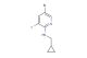 5-bromo-N-(cyclopropylmethyl)-3-fluoropyridin-2-amine