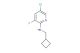 5-chloro-N-(cyclobutylmethyl)-3-fluoropyridin-2-amine