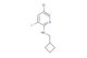 5-bromo-N-(cyclobutylmethyl)-3-fluoropyridin-2-amine