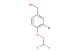 (3-bromo-4-(2,2-difluoroethoxy)phenyl)methanol