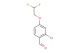 2-chloro-4-(2,2-difluoroethoxy)benzaldehyde