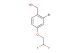 (2-bromo-4-(2,2-difluoroethoxy)phenyl)methanol