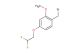 1-(bromomethyl)-4-(2,2-difluoroethoxy)-2-methoxybenzene