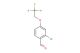 2-chloro-4-(2,2,2-trifluoroethoxy)benzaldehyde