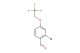 2-bromo-4-(2,2,2-trifluoroethoxy)benzaldehyde
