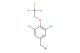 5-(bromomethyl)-1,3-dichloro-2-(2,2,2-trifluoroethoxy)benzene