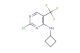 2-chloro-N-cyclobutyl-5-(trifluoromethyl)pyrimidin-4-amine