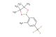 4,4,5,5-tetramethyl-2-(2-methyl-4-(trifluoromethyl)phenyl)-1,3,2-dioxaborolane