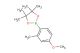 2-(4-methoxy-2-methylphenyl)-4,4,5,5-tetramethyl-1,3,2-dioxaborolane